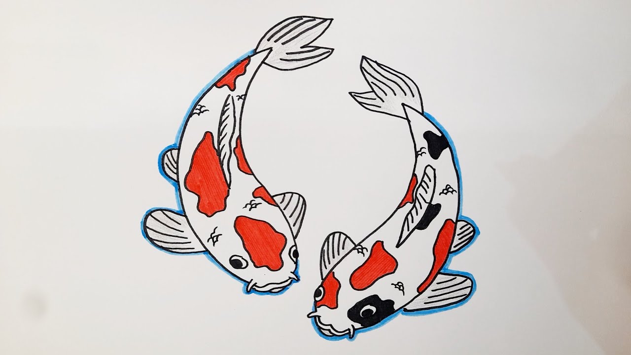 Menggambar Ikan Koi Bagus Dan Mudah