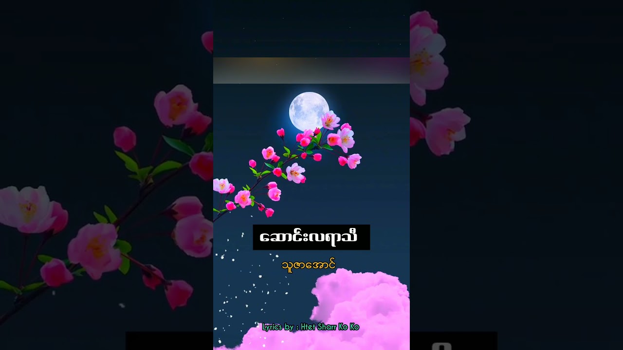 ဆောင်းလရာသီ သူဇာအောင် @htetsharrkoko