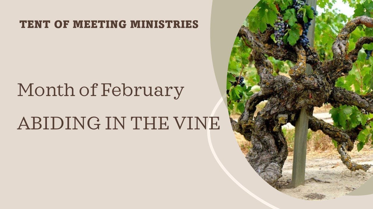 Abiding in the Vine  Ps. Jemy Jacob | English Service | 9:30am