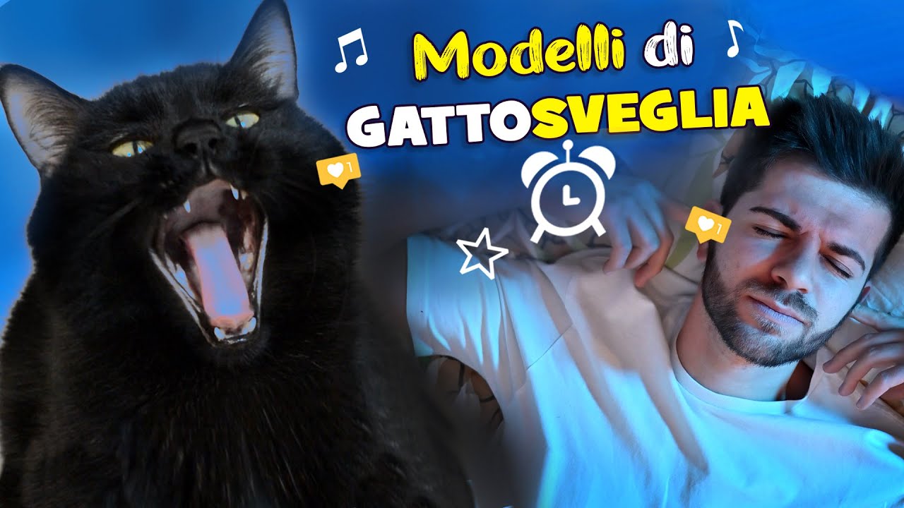 Modelli di 😺GATTOSVEGLIA⏰