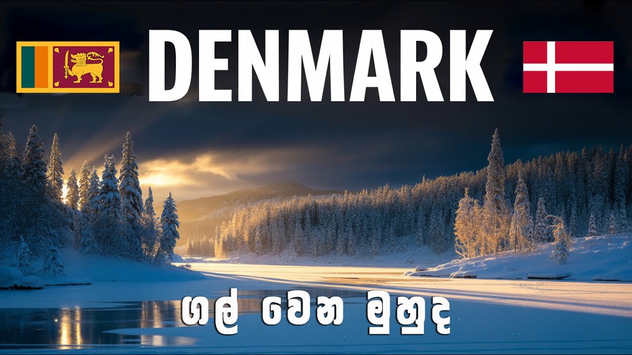 Denmark 🇩🇰 ගල් වෙන මුහුද .13 #denmarkvlog  #sinhalavlogs