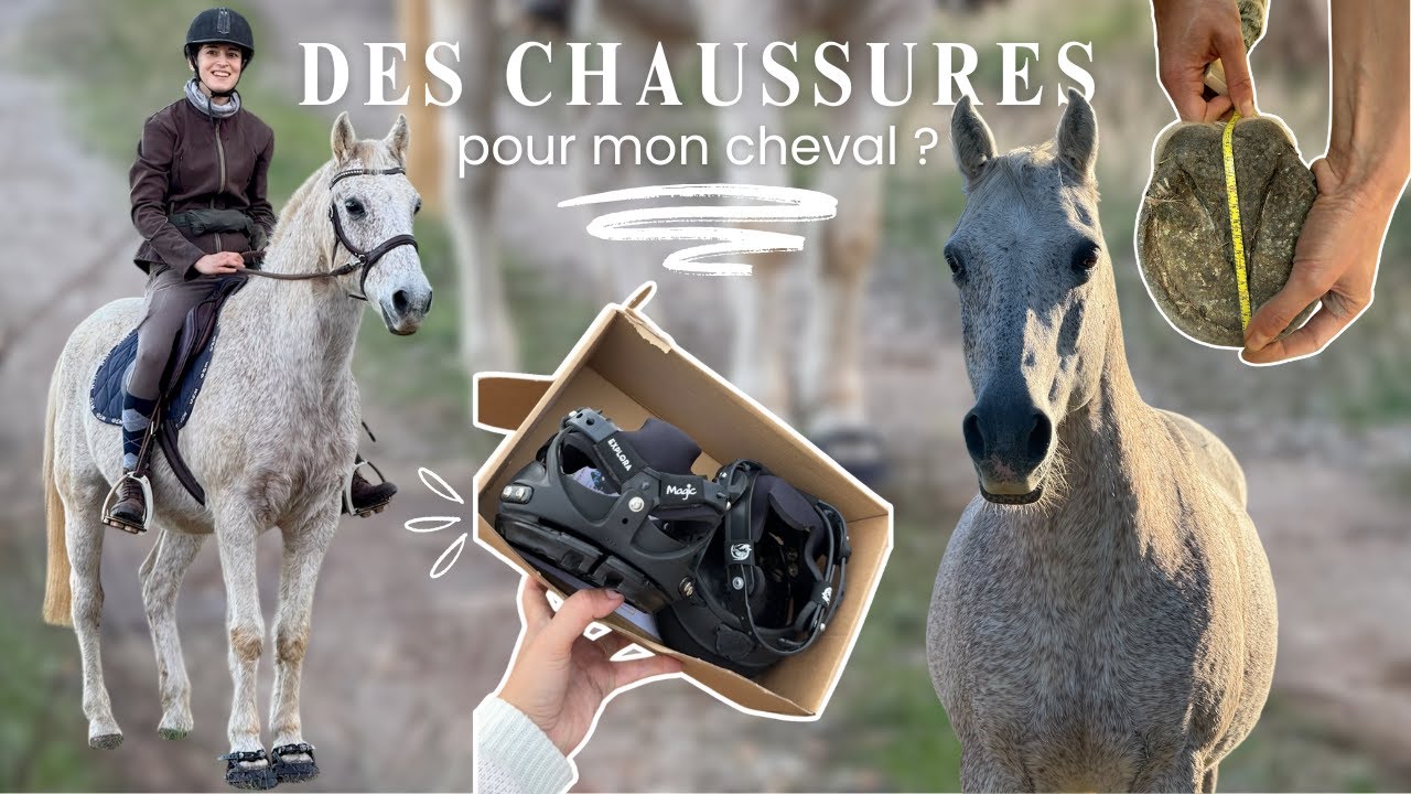 MON CHEVAL A BESOIN DE CHAUSSURES - on fait le point ! 😎👟