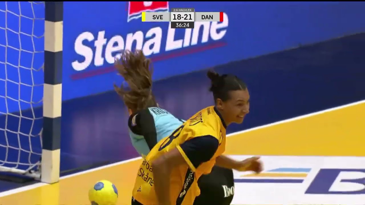 Danmark - Sverige match highlights, 22 november 2025