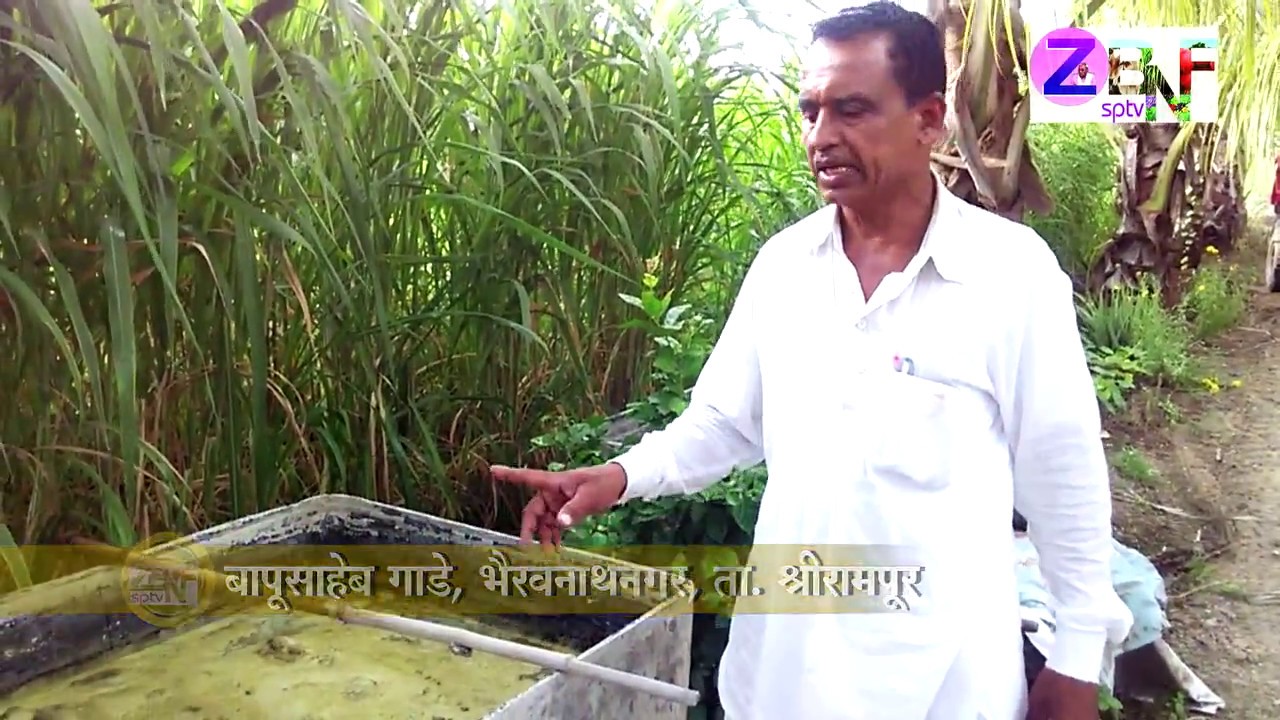Marathi : Ahamadanagar : Bapusaheb Gade :16 Year’s Journey of Zero Budget  Sugarcane Farming