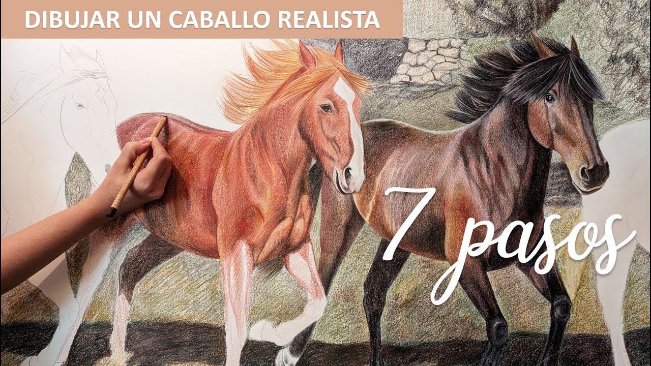 Cómo dibujar caballos 🐎| Parte 1