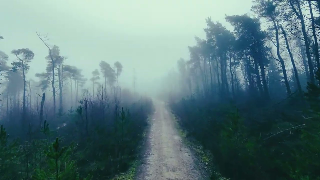 Into the Fog — DJI Neo 2 Flight Through the gloomy Peak District Pines