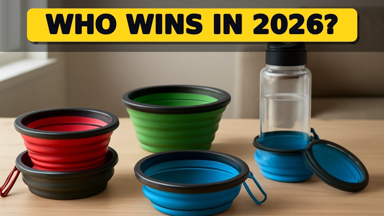 Top 5 Best Collapsible Dog Travel Bowls 2026 - Ideal for On-the-Go Hydration