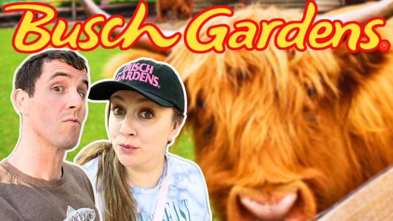 Busch Gardens Tour: Highland Cows, Wine & Scenic Train Ride!