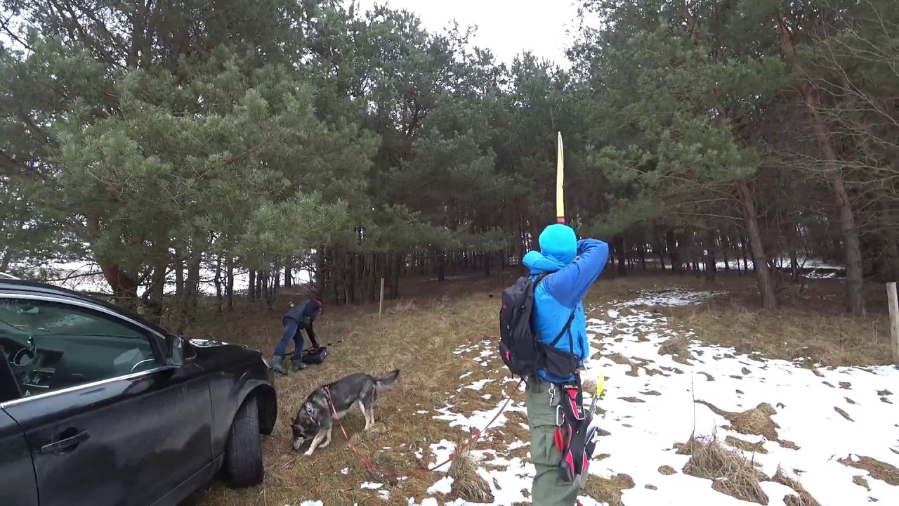 FIELD W MAJDACH - ZIMOWE ZAWODY ŁUCZNICZE 2019