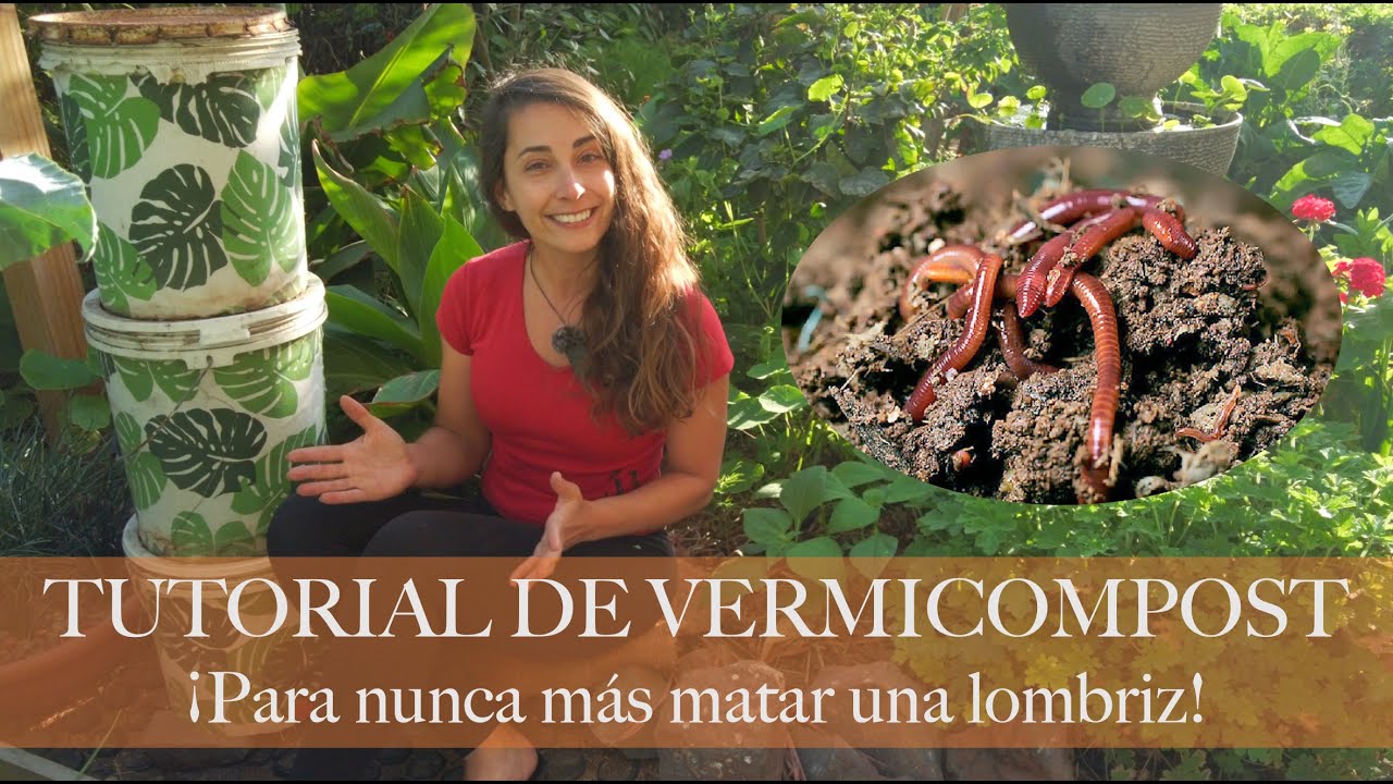 Como cuidar de nuestras LOMBRICES CALIFORNIANAS