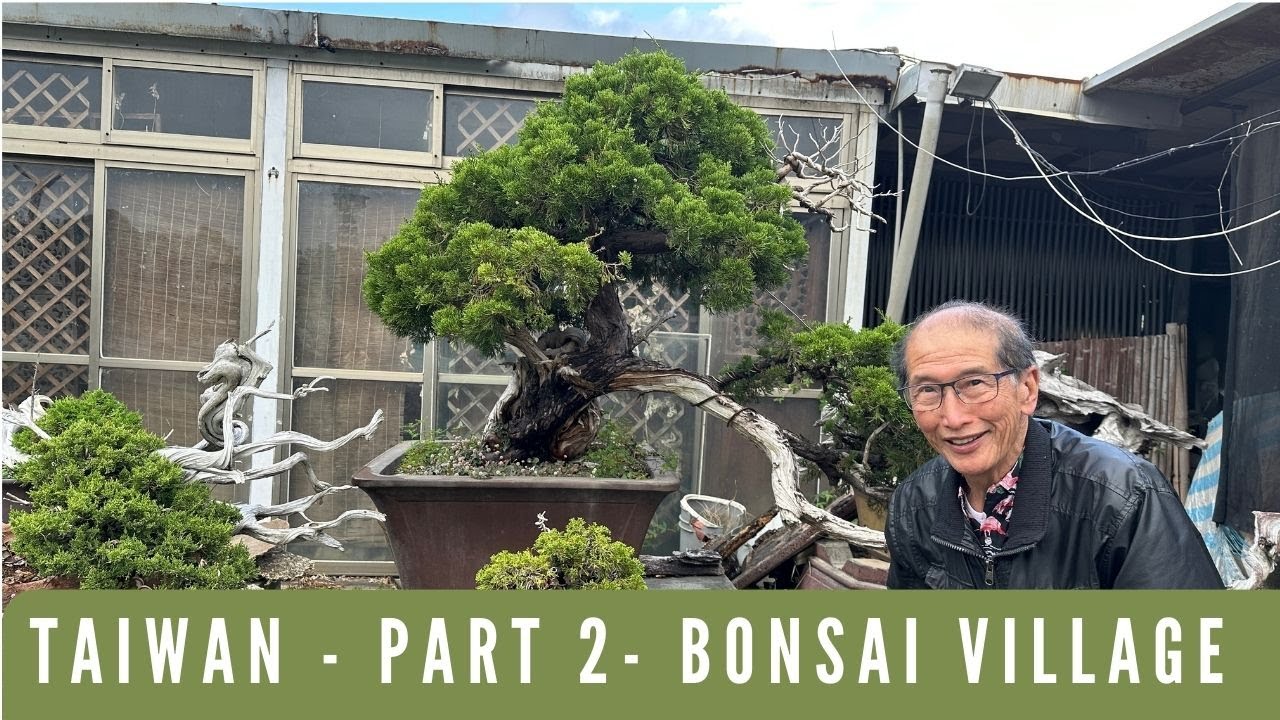 Taiwan - Bonsai Village - Part Two