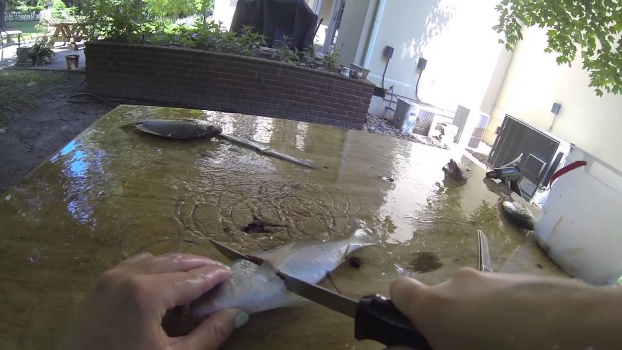 How to Clean a fish (spot)