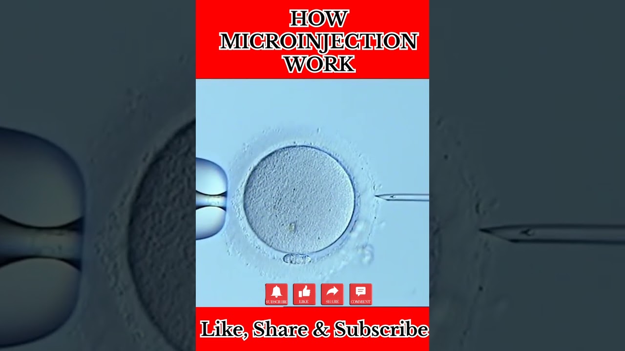 How Micro injection Work #shorts#biology#biotechnology