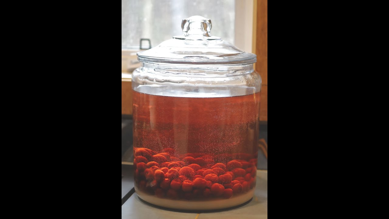 Vin de cerises fait maison; stockage des cerises, conservation longue