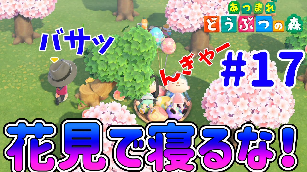 【あつまれ 動物の森】4人プレイが面白い！お花見で寝てるやつにおしおきだ！#17
