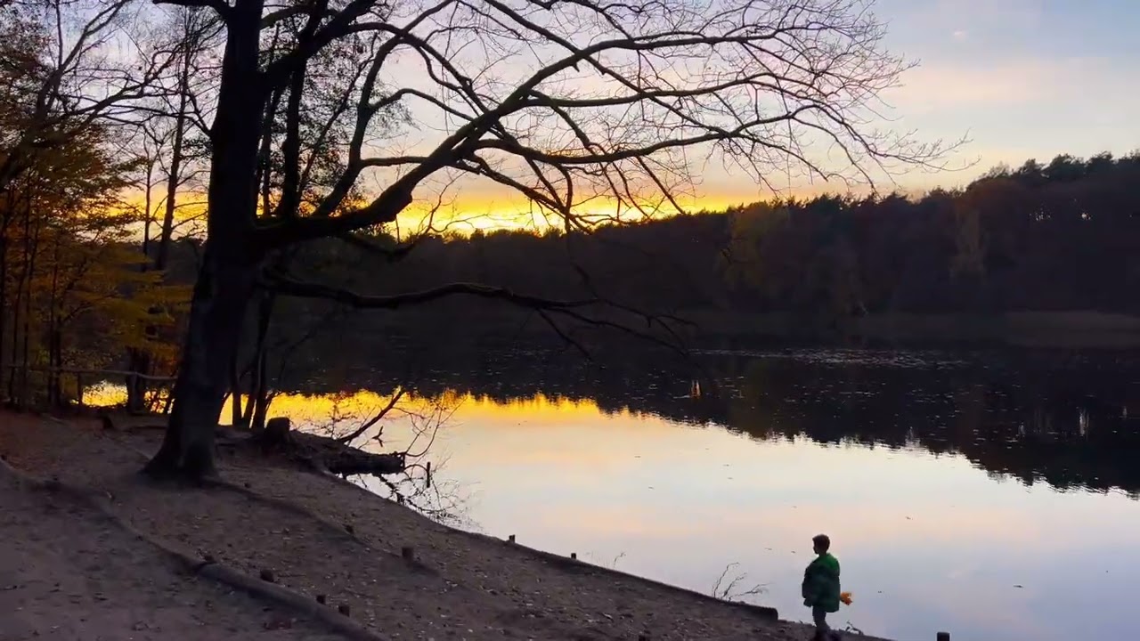 Relaxing 4K Lake Walk in Berlin – Krumme Lanke Nature Trail