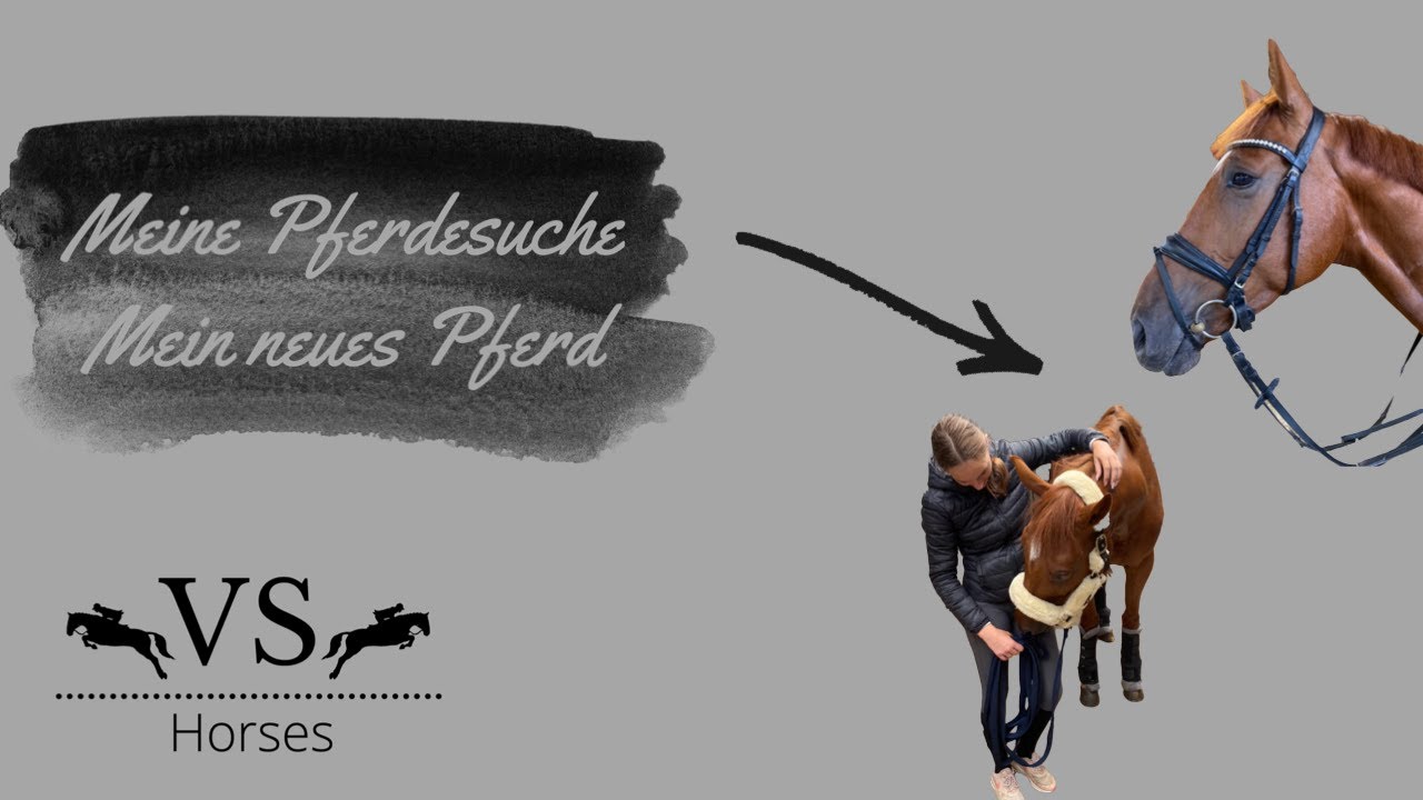 Mein neues Pferd // Meine Pferdesuche