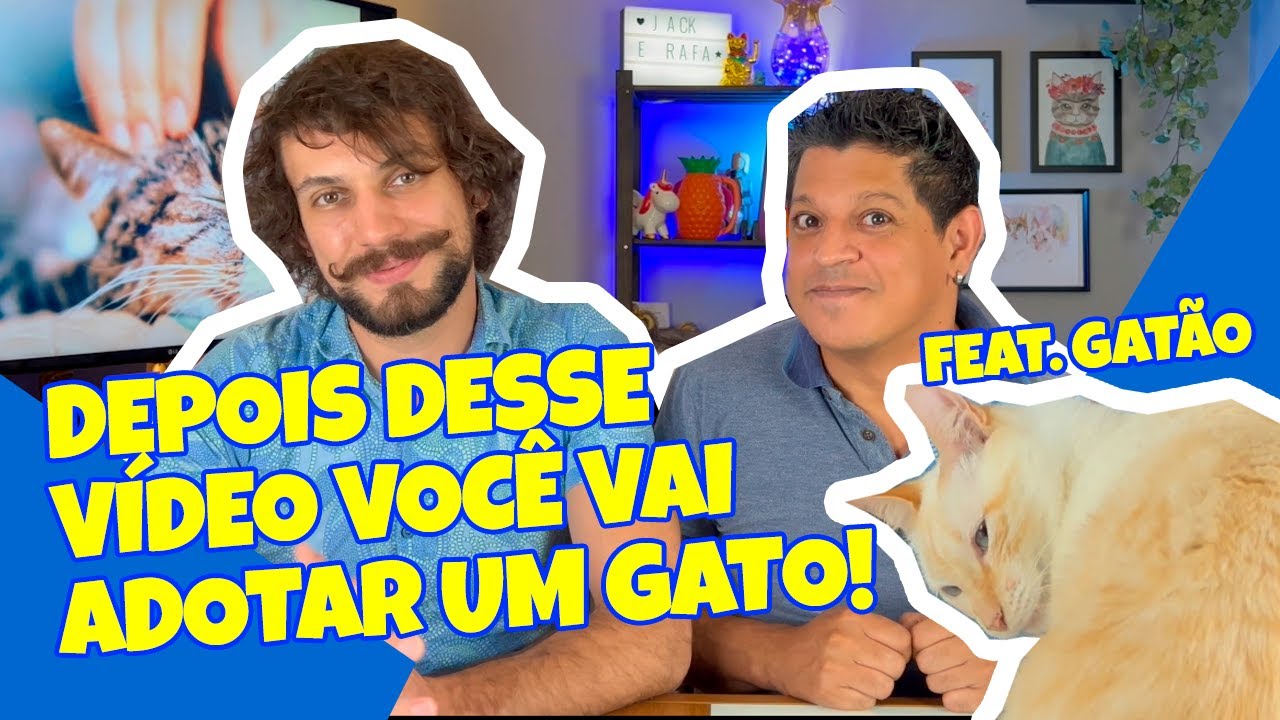 🔴 Você PRECISA adotar um GATO! 8 MOTIVOS para TER um gato em CASA! 😻