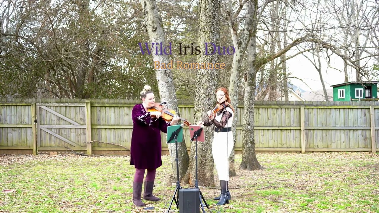 Bad Romance - Violin + Viola Cover | Wild Iris Duo