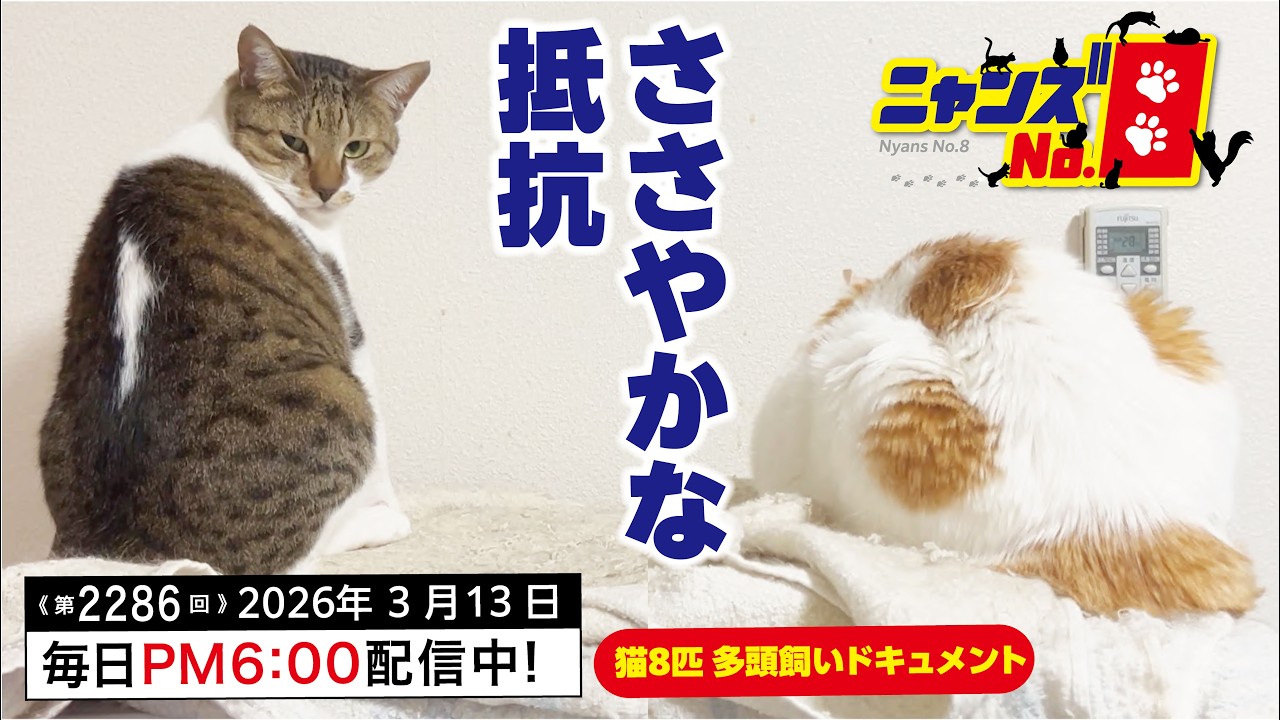 《第2286回》ささやかな抵抗