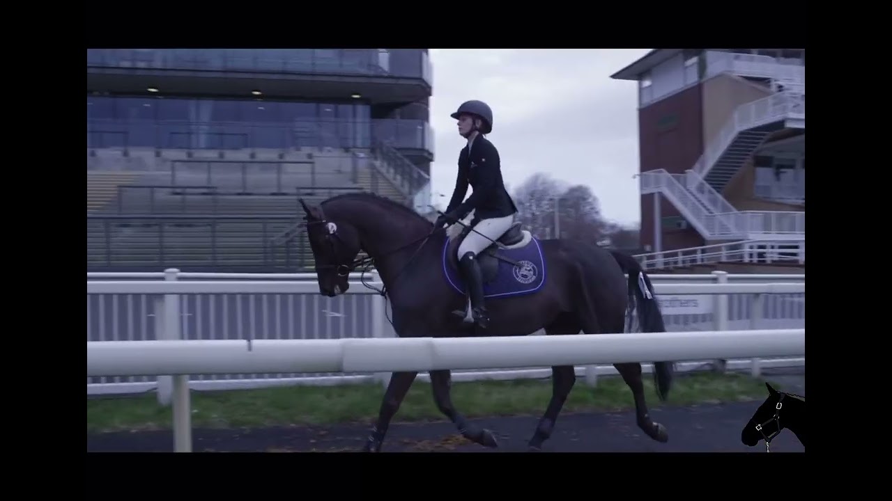 ‘. Calm down || Equestrian music video! ￼|| read disc. ‘