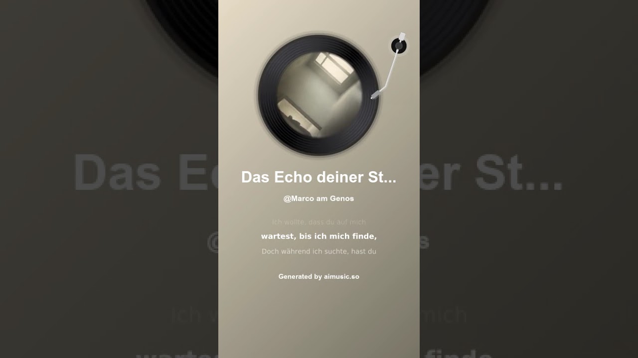 Das Echo deiner Stille 