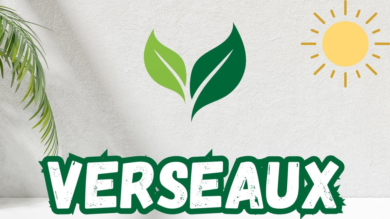 VERSEAUX CHOC ÉNORME QUE VOUS RECEVEZ !! QUELQU'UN RÉVÈLE SES VRAIES INTENTIONS !! JANVIER 2026