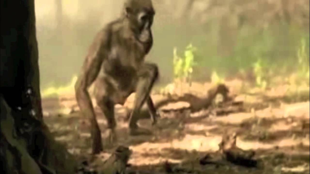 The Story of Our World