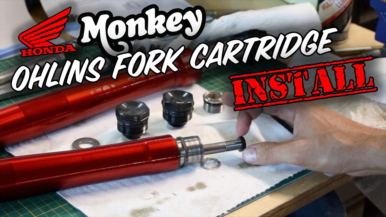 How to upgrade the forks on your Honda Monkey 125! Ohlins Fork Cartridge Kit Install | Step-by-Step