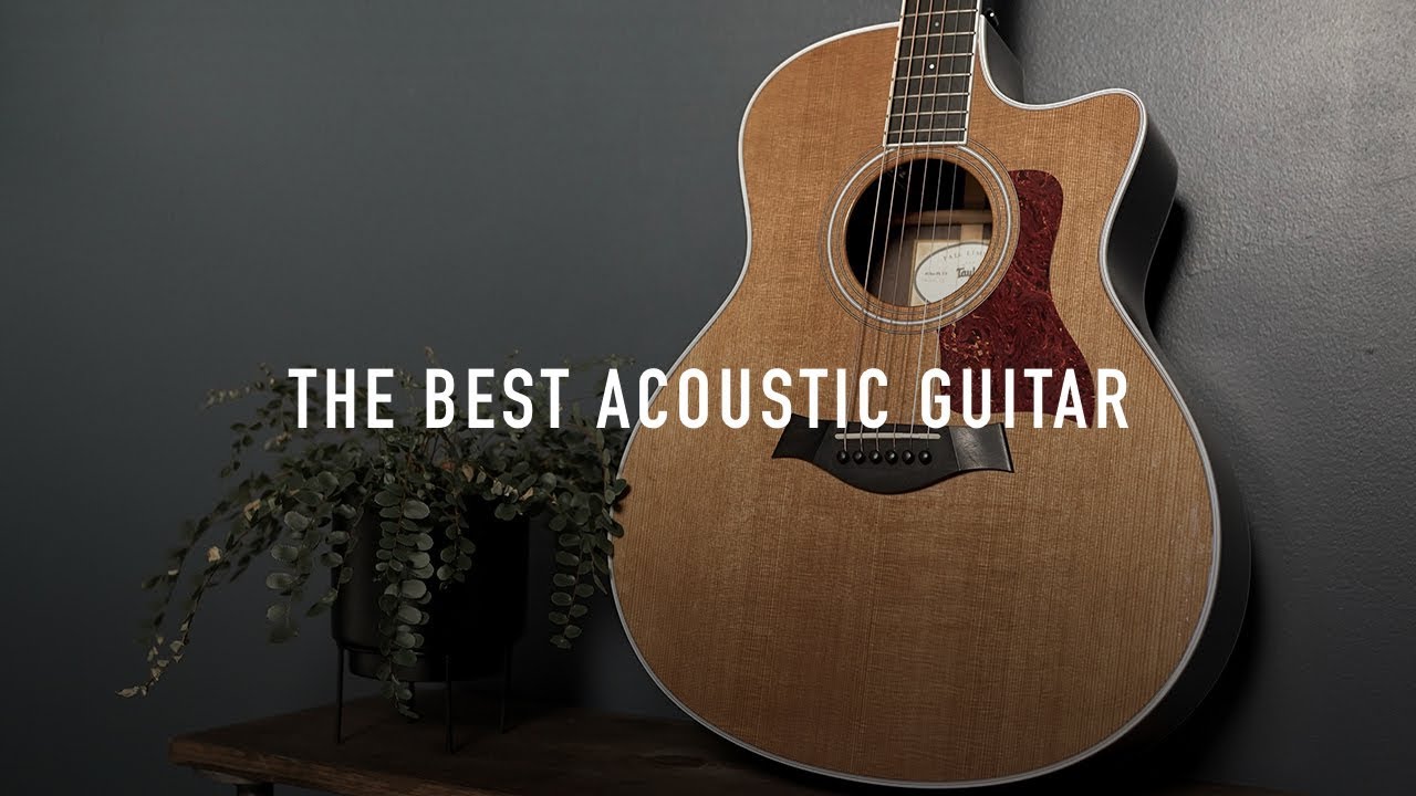 Yes, You SHOULD buy a Taylor Guitar!