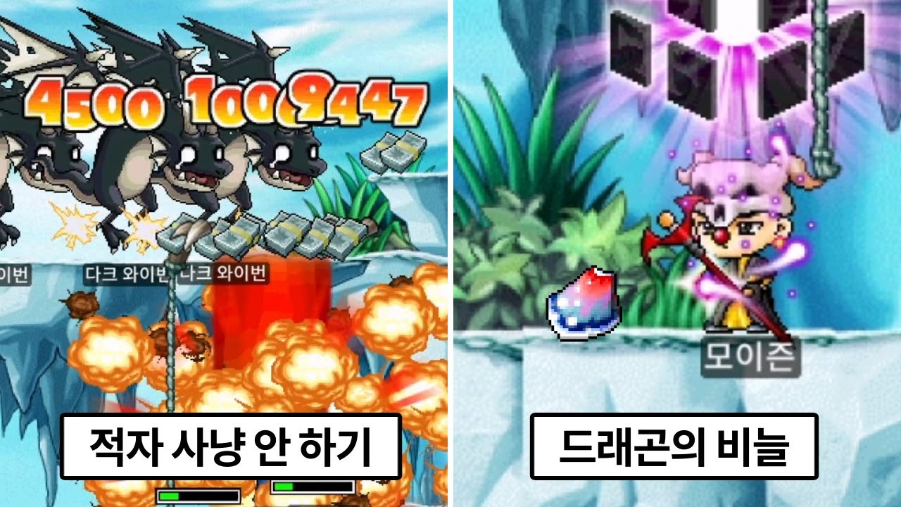 드디어 효도를 시작한 모이즌