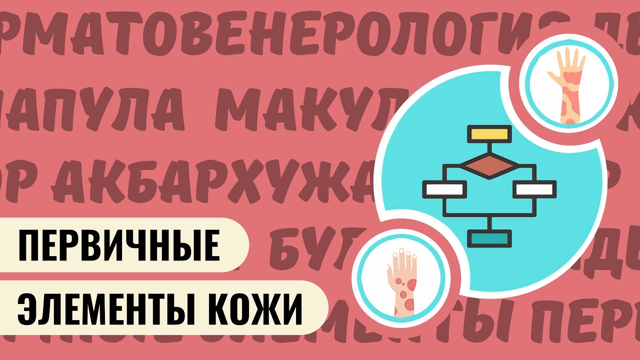 ПЕРВИЧНЫЕ ЭЛЕМЕНТЫ КОЖИ. АЛГОРИТМ ДИАГНОСТИКИ