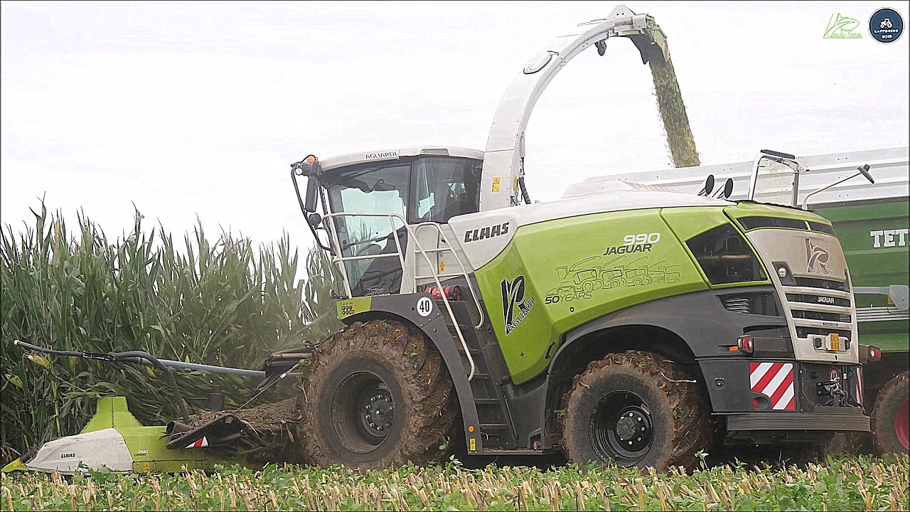 **NEW** CLAAS Jaguar 990 50 Years Edition & 5 FENDT tractors - AGLIARDI - Corn silage 2024