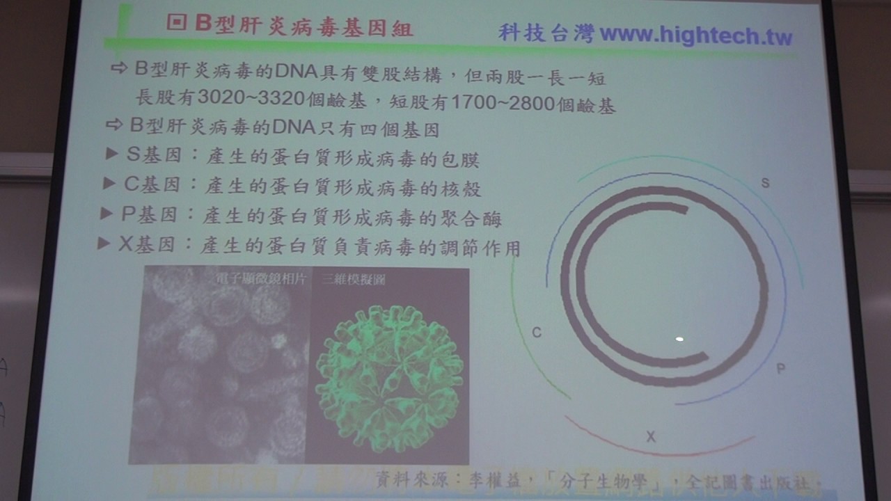HD15_基因與基因組00446