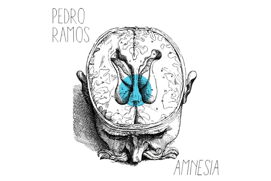 Pedro Ramos - Amnesia