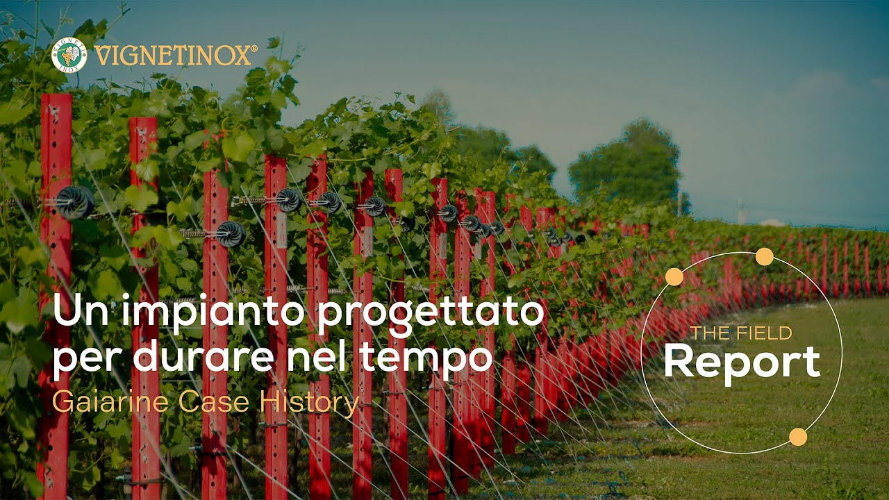 Vigneto Gaiarine: un impianto progettato per durare // Vignetinox