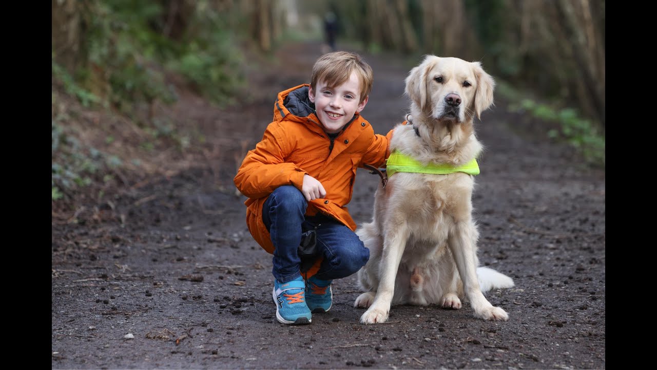 The Ireland Funds Supports: Dogs for the Disabled: Meet Max & Nicky