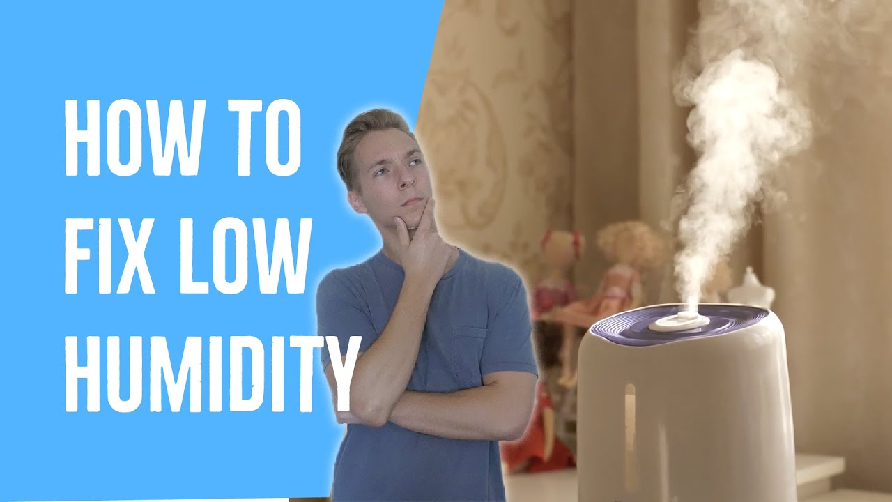 How Do I Fix Low Humidity? (Increase Humidity FAST)