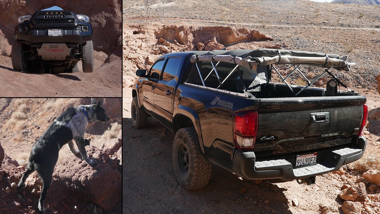 Phillips OHV Loop Trail / tacoma softopper/ blue heeler