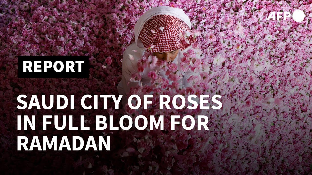 Saudi Arabia's city of roses blooms in Ramadan | AFP