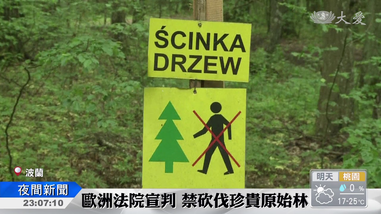歐盟告贏波蘭 阻止砍伐原始森林