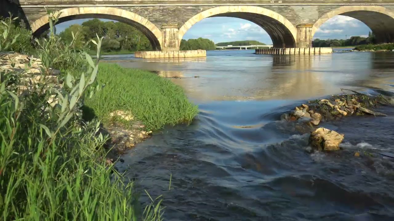 Relaxing in the French River / Music & Nature SoundsI 4K @robertocsibi524 