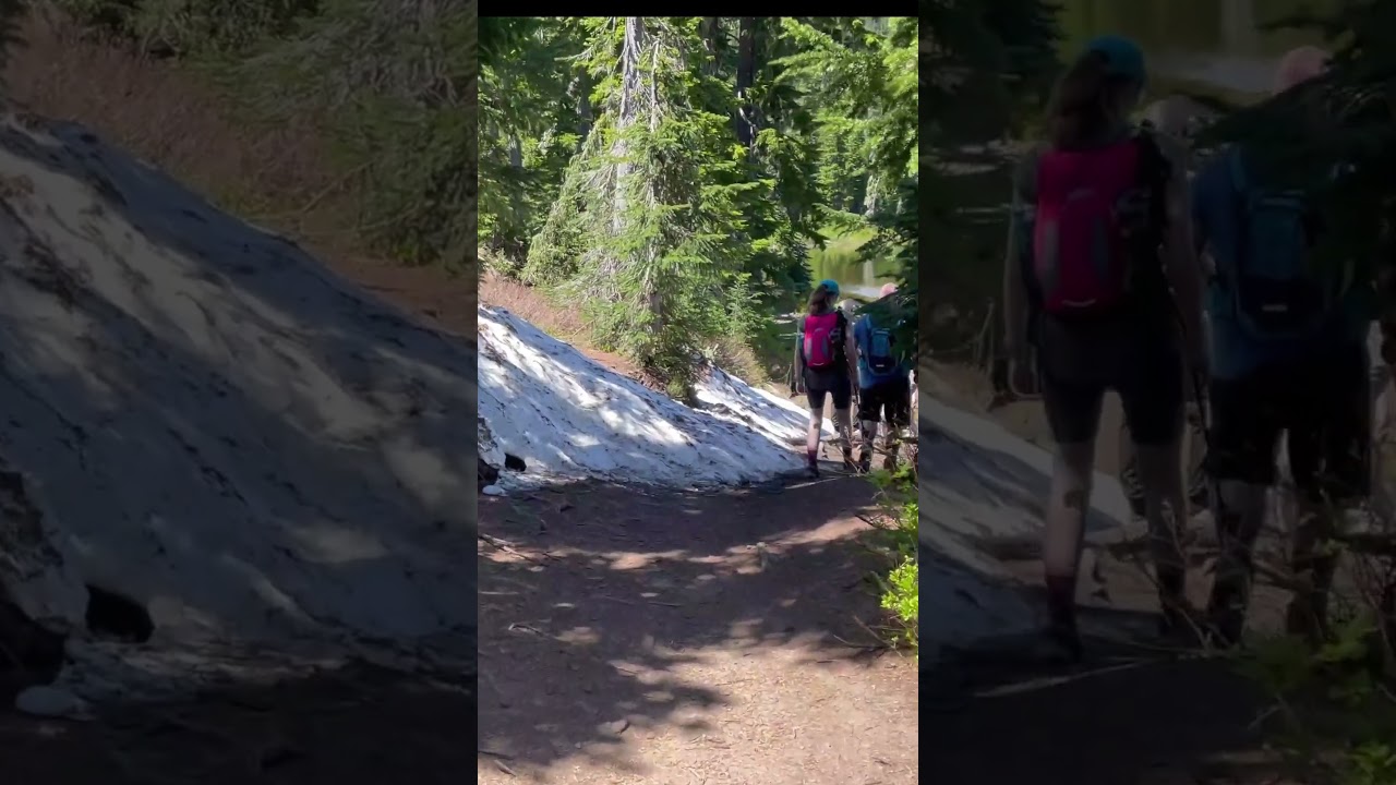 Reflection Lakes trail Washington State USA Part 2 #shorts