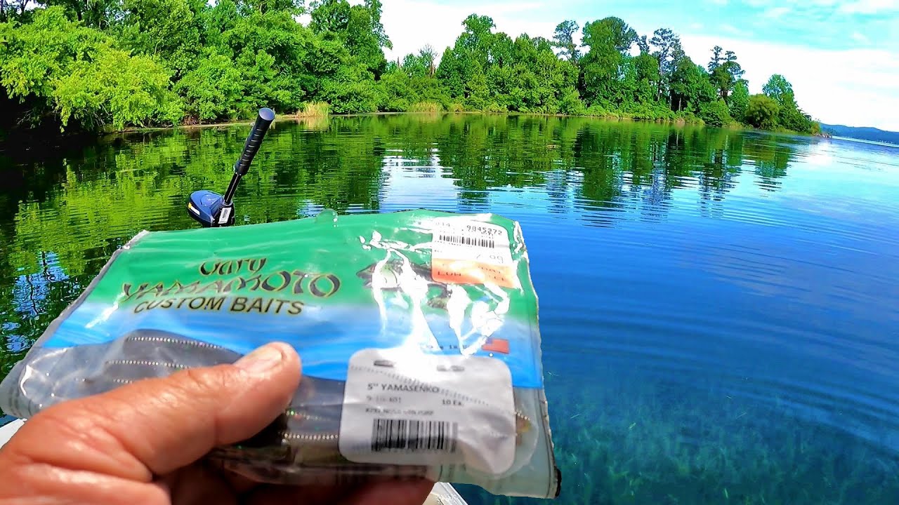 EXTREMELY EFFECTIVE Way To Fish A Senko!!! Bass Fishing Bluegill Beds