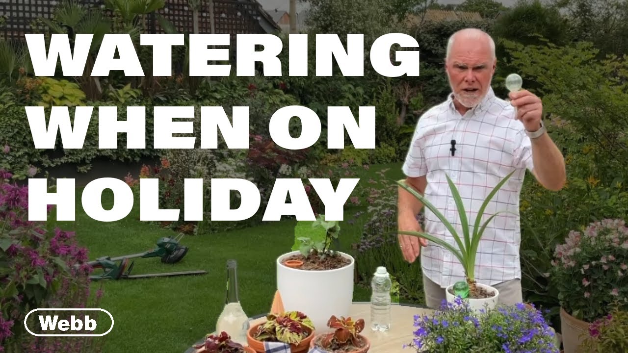 How to Water Plants When on Holiday - Gardening Advice from Adam Woolcott