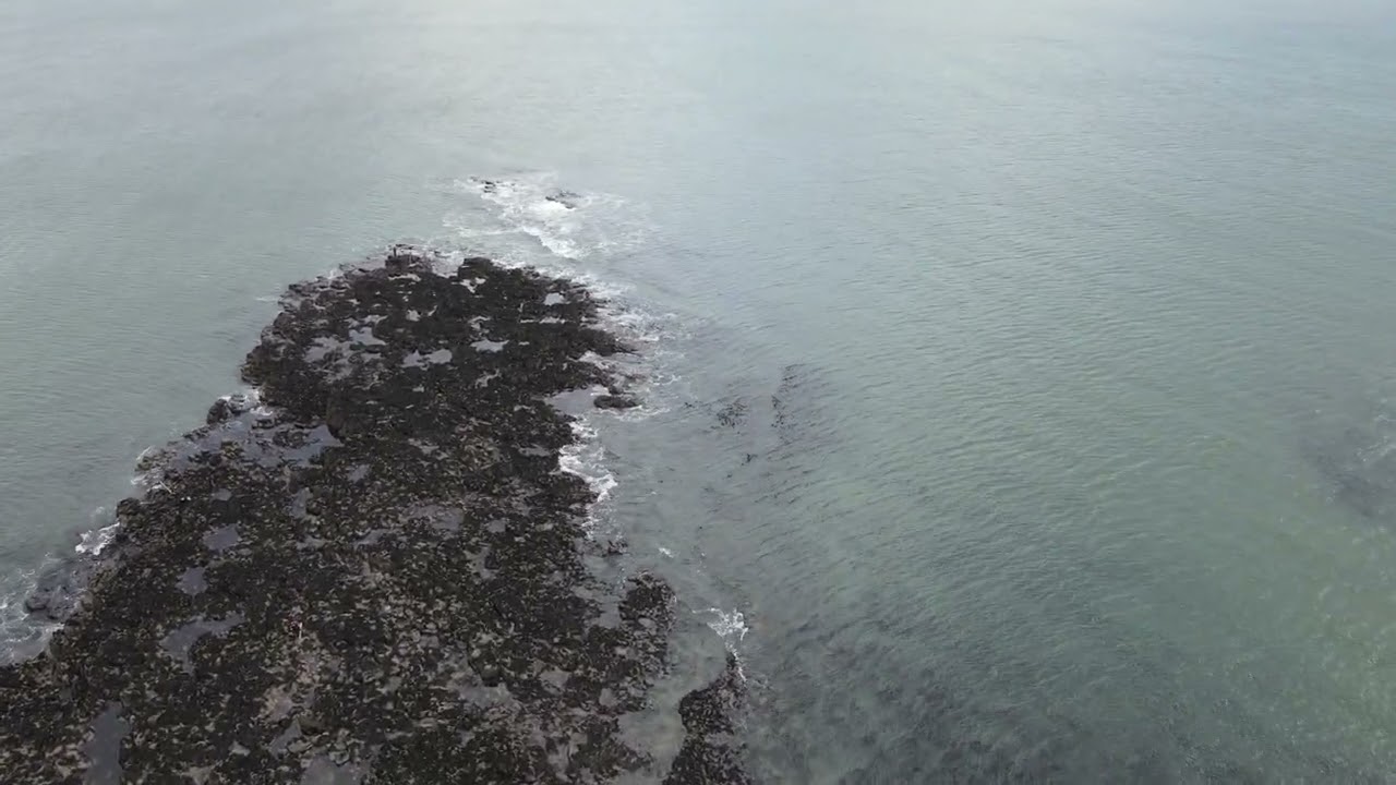SNOOK POINT, NEWTON BY THE SEA