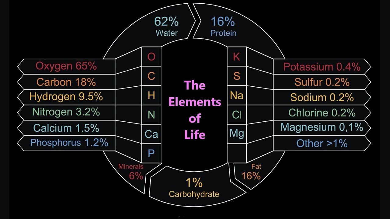 General Chemistry | Carbon, Nitrogen, Oxygen, Hydrogen, et al