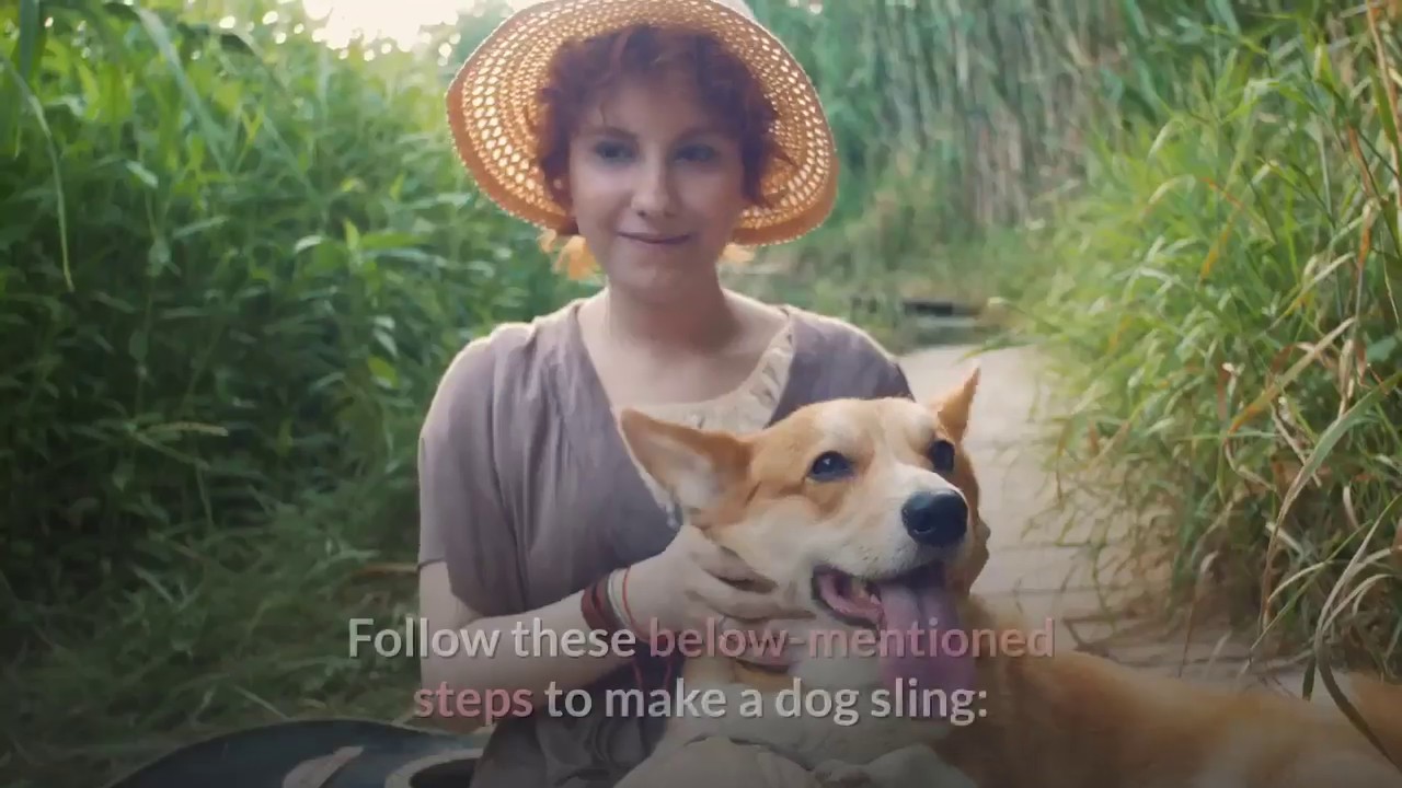 How To Make A Dog Sling Carrier | Stephen Cabell | Caring The Pet