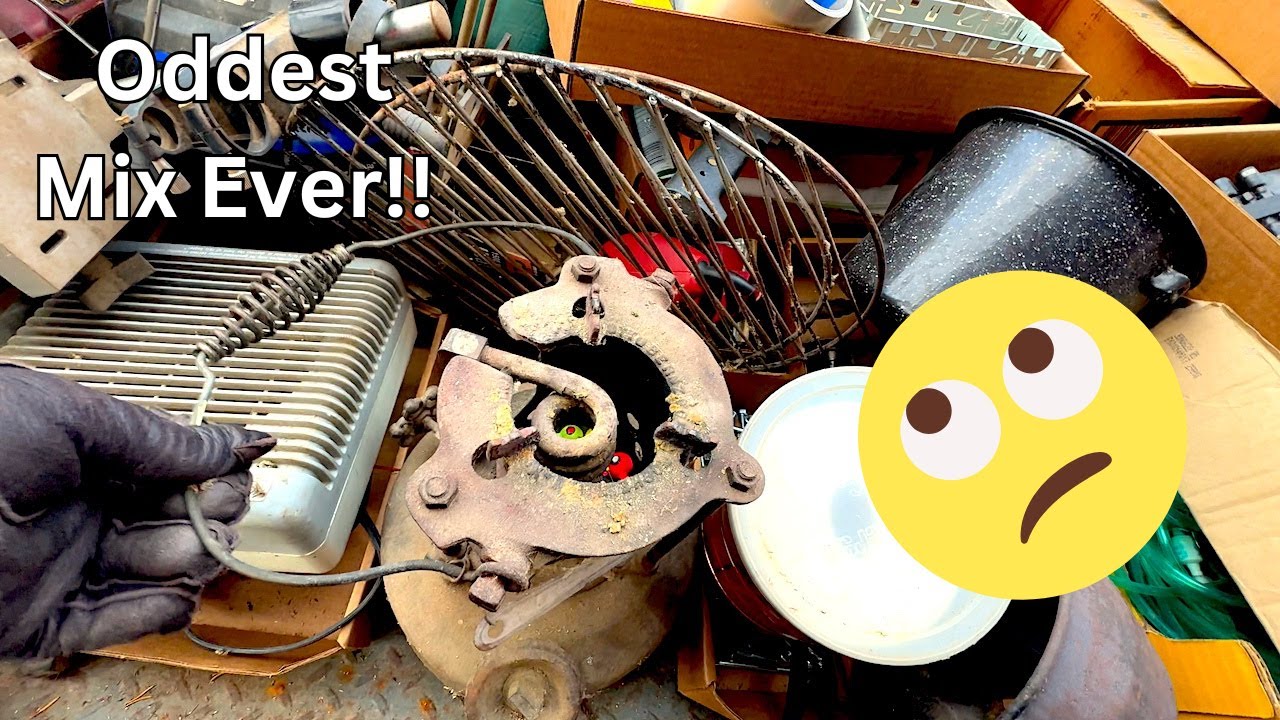 EP75: The Most Odd Mix Of Items I've Ever Bought At Auction.