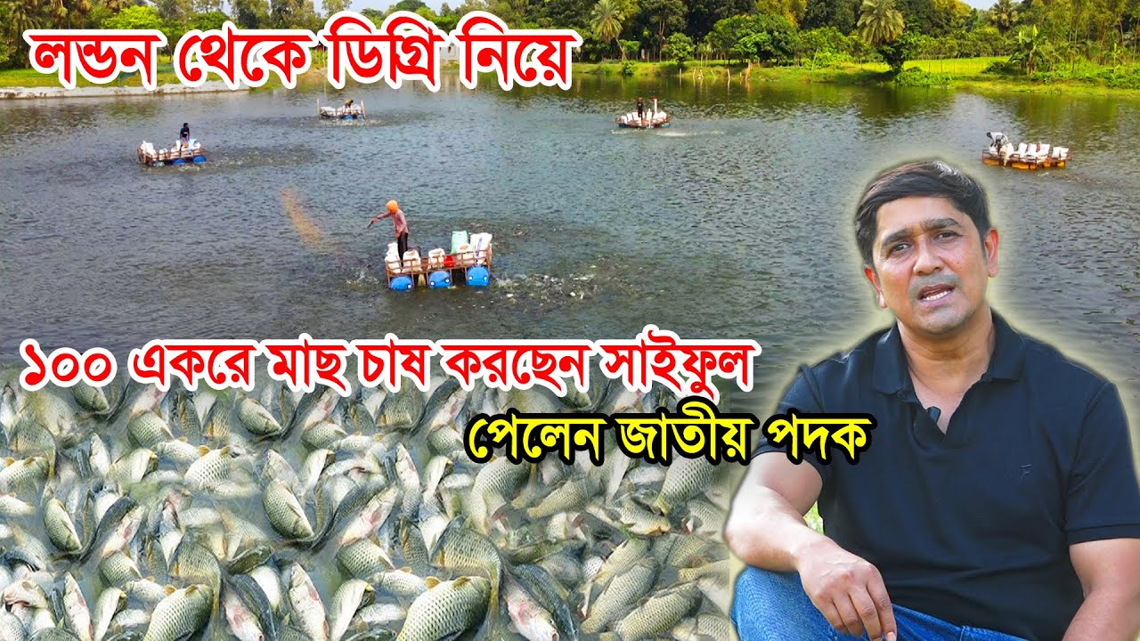 লন্ডন থেকে ডিগ্রি নিয়ে, ১০০ একরে মাছ চাষ করছেন সাইফুল, পেলেন জাতীয় পদক | Universe Fish |AM Krishi TV